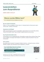 Vorschau - Arbeitsblätter - Gratis-Sachtext 3/4: Warum werden Blätter bunt? - Seite 1