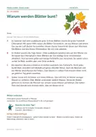 Vorschau - Arbeitsblätter - Gratis-Sachtext 3/4: Warum werden Blätter bunt? - Seite 2