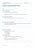 Vorschau - Arbeitsblätter - Gratis-Sachtext 3/4: Warum werden Blätter bunt? - Seite 3
