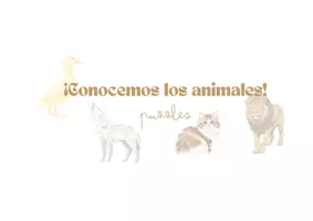 Vista previa - Refuerzo / NEE / Materiales de apoyo - Conocemos los animales - material TEACCH - Portada