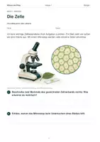 Vorschau - Arbeitsblätter - Materialpaket | Zellen, Pflanzen & Stoffwechsel verstehen | Mini Bundle Biologie Klasse 7 - Seite 1