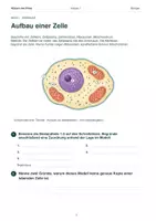 Vorschau - Arbeitsblätter - Materialpaket | Zellen, Pflanzen & Stoffwechsel verstehen | Mini Bundle Biologie Klasse 7 - Seite 3