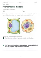 Vorschau - Arbeitsblätter - Pflanzenzelle oder Tierzelle? – Gemeinsamkeiten & Unterschiede entdecken | Biologie Klasse 7 - Seite 1