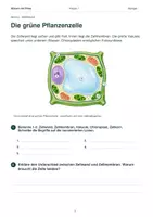 Vorschau - Arbeitsblätter - Pflanzenzelle oder Tierzelle? – Gemeinsamkeiten & Unterschiede entdecken | Biologie Klasse 7 - Seite 3