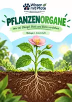 Vorschau - Arbeitsblätter - Pflanzenorgane verstehen – Wie Wurzel, Spross & Blatt zusammenarbeiten | Biologie Klasse 7 - Deckblatt