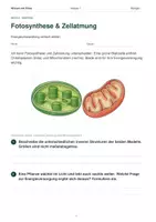 Vorschau - Arbeitsblätter - Fotosynthese & Zellatmung verstehen – Energie in Pflanzen und Zellen | Biologie Klasse 7 - Seite 1