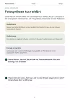 Vorschau - Arbeitsblätter - Fotosynthese & Zellatmung verstehen – Energie in Pflanzen und Zellen | Biologie Klasse 7 - Seite 2