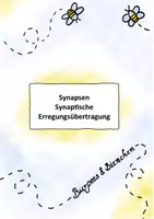 Vorschau - Stundenentwürfe - Synapsen - Synaptische Erregungsübertragung - Deckblatt