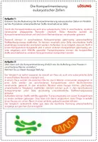 Vorschau - Arbeitsblätter - Arbeitsblatt: Die Kompartimenierung eukaryotischer Zellen - Seite 3