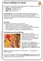 Vorschau - Fördermaterial/Inklusion - Herbst: Perlen auffädeln – Farben, Mengen & Zahlen bis 20 | Feinmotorik & Mathematik - Seite 1