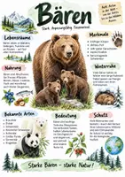 Vorschau - Arbeitsblätter - Lernplakat + Arbeitsblätter zum Thema "Bären" + Lösung & MP3 + Infografik - Deckblatt