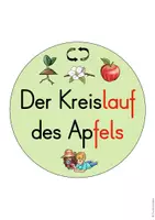 Vorschau - Arbeitsblätter - Apfel Klasse 1 Sachunterricht - Seite 3