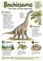 Vorschau - Arbeitsblätter - Lernplakat + Arbeitsblätter zum Thema "Brachiosaurus" + Lösung & MP3 + - Deckblatt