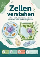 Vorschau - Arbeitsblätter - Zellen verstehen: Aufbau und Funktion tierischer Zellen, pflanzlicher Zellen und Mikroorganismen - Seite 1