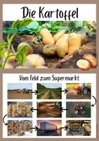 Vorschau - Aufgabenkarten - Die Kartoffel Wissenskartei - Deckblatt
