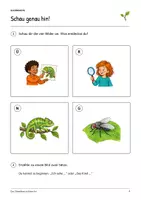 Vorschau - Arbeitsblätter - Das Chamäleon auf dem Ast: Deutsch Lesen, Schreiben, Leseheft, Schreibheft und Arbeitsblätter mit Lösungen - Seite 2