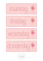 Voorbeeld - Klasthema - flamingo - Pagina 3