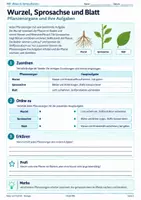 Vorschau - Unterrichtsreihen - Blütenpflanzen – Blütenaufbau, Bestäubung, Samen, Früchte & Keimung | Biologie 5/6 - Seite 1