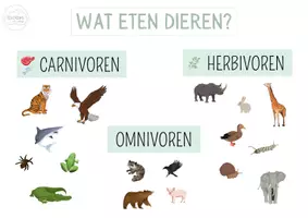 Voorbeeld - Het dierenrijk - wandplaten - Pagina 1