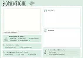 Voorbeeld - Pakket observatiefiches - MMWT - Pagina 3