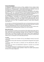 Vorschau - Stundenentwürfe - Politikverdrossenheit oder politisches Engagement (Cicero, De re publica) - Seite 2
