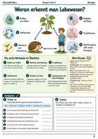 Vorschau - Arbeitsblätter - Biologie Grundlagen Arbeitsheft Klasse 5 bis 6 - Seite 1