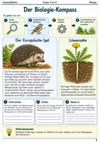Vorschau - Arbeitsblätter - Biologie Grundlagen Arbeitsheft Klasse 5 bis 6 - Seite 2
