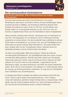 Vorschau - Arbeitsblätter - Halloween Lesehaeppchen - Klasse 4 - Seite 1