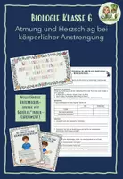 Vorschau - Stundenentwürfe - Materialpaket: Atmung und Blutkreislauf - Seite 1