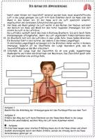 Vorschau - Stundenentwürfe - Ganze Stunde: Aufbau und Funktion der Atmungsorgane - Seite 2