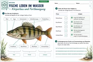 Vorschau - Unterrichtsreihen - Fische leben im Wasser – Unterrichtsmaterial Biologie - Seite 3