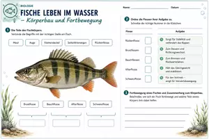 Vorschau - Unterrichtsreihen - Fische leben im Wasser – Unterrichtsmaterial Biologie - Seite 2