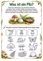 Vorschau - Arbeitsblätter - Alles rund um die Pilze – Wissens- und Mitmachheft für Kindergarten & 1. Klasse - Seite 1