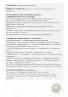 Vista previa - Unidades / Secuencias / Situaciones de Aprendizaje - Kit de Prompts IA Planificación Curricular Nivel Primaria - página 3