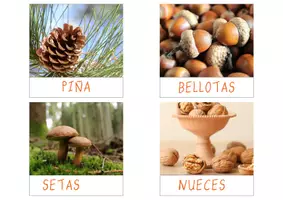 Vista previa - Unidades / Secuencias / Situaciones de Aprendizaje - 🍂 FLASHCARDS DE OTOÑO 🍂 - página 2