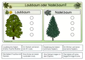 Vorschau - Spiele - Bäume - Klettmappen - Seite 2