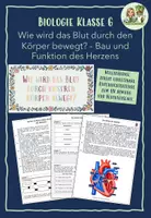Vorschau - Stundenentwürfe - Ganze Stunde: Wie wird das Blut durch unseren Körper bewegt? - Deckblatt