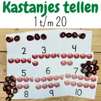 Voorbeeld - Kastanjes tellen | Herfstactiviteit voor peuters kleuters - Voorblad