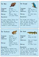 Vorschau - Arbeitsblätter - Tiere im und am Wasser Freebe - Seite 1