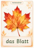 Vorschau - Bildkarten - Herbstwörter - 30 Bildkarten & 3 Suchbilder für Klasse 1 & DaZ - Seite 2