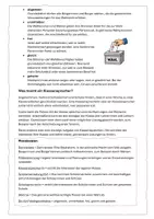 Vorschau - Arbeitsblätter - Demokratie, Mitbestimmung & Wahlen – GeWi Wiederholung mit Infotext & Übungen - Seite 2