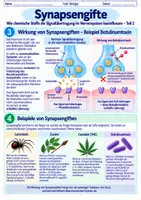 Vorschau - Arbeitsblätter - Synapsengifte - Wirkung auf die Signalübertragung | Unterrichtsreihe "Das Nervensystem", Biologie 9.-10. Klasse - Seite 1