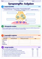 Vorschau - Arbeitsblätter - Synapsengifte - Wirkung auf die Signalübertragung | Unterrichtsreihe "Das Nervensystem", Biologie 9.-10. Klasse - Seite 3