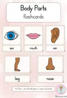 Vorschau - Bildkarten - Body Parts – Flashcards | Englisch ab Klasse 3 - Deckblatt