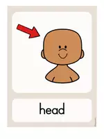 Vorschau - Bildkarten - Body Parts – Flashcards | Englisch ab Klasse 3 - Seite 1
