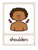 Vorschau - Bildkarten - Body Parts – Flashcards | Englisch ab Klasse 3 - Seite 2
