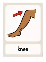 Vorschau - Bildkarten - Body Parts – Flashcards | Englisch ab Klasse 3 - Seite 3