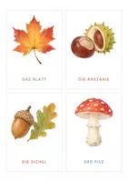 Vorschau - Bildkarten - Herbst Bildkarten 40 Stück / Wortschatz Herbst / DaZ Wortkarten / Morgenkreis Grundschule - Seite 3