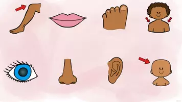 Vorschau - Spiele - Body Parts – Einführung, Blitzlesen & What’s missing? - Seite 1