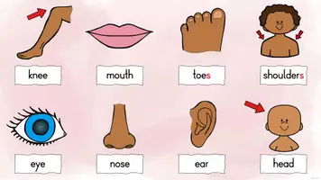 Vorschau - Spiele - Body Parts – Einführung, Blitzlesen & What’s missing? - Seite 2